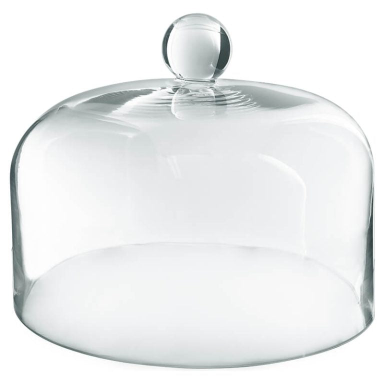 CAKE DOME GLASS
