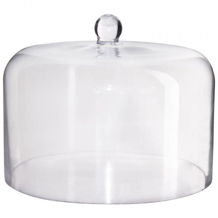 BIG GLASS DOME